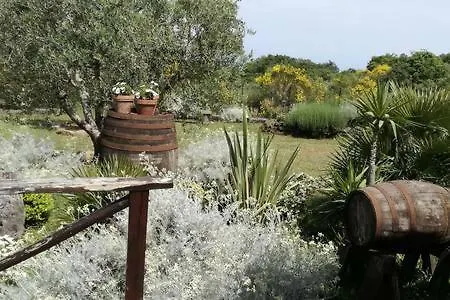 Francesco * Linguaglossa